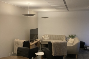 Fællesrum/ Livingroom/ Wohnzimmer